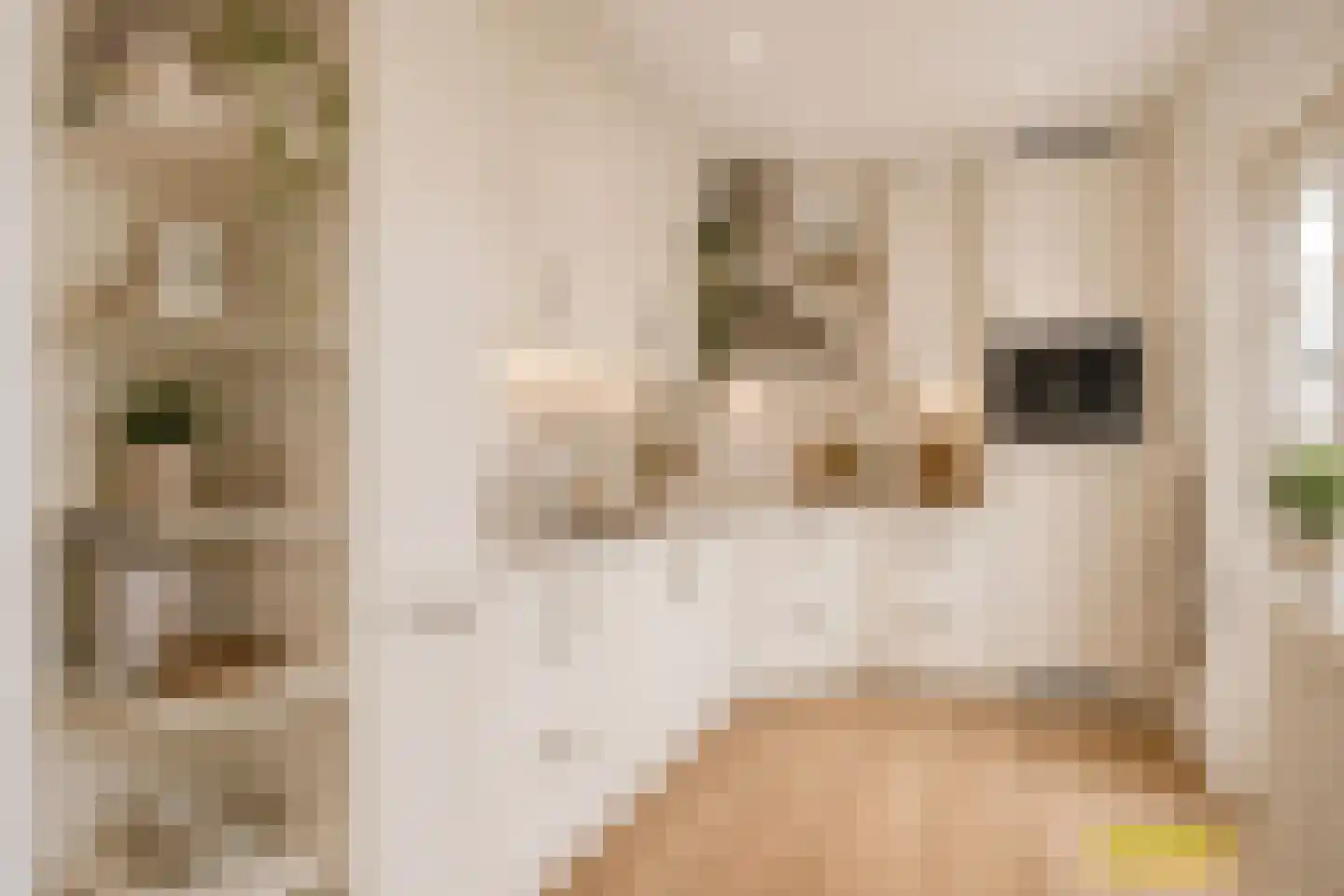 van Groningenstraat 11 Cothen thumbnail 13