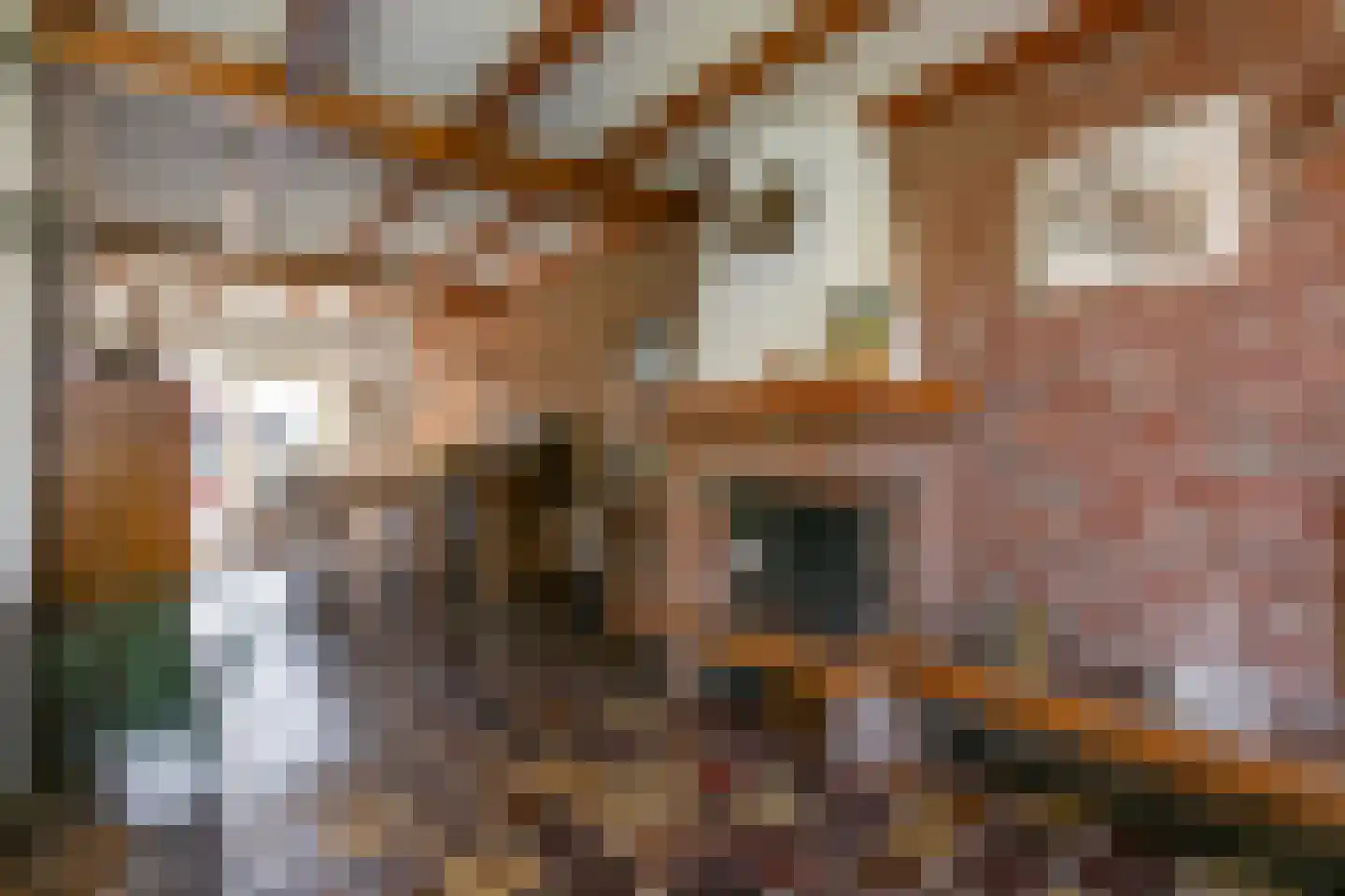 van Groningenstraat 11 Cothen thumbnail 13