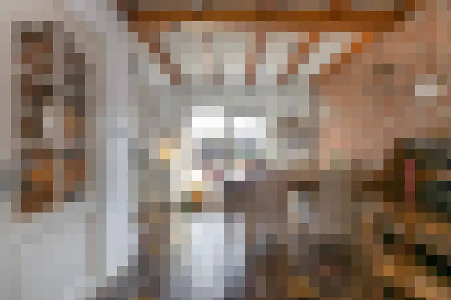 van Groningenstraat 11 Cothen thumbnail 14