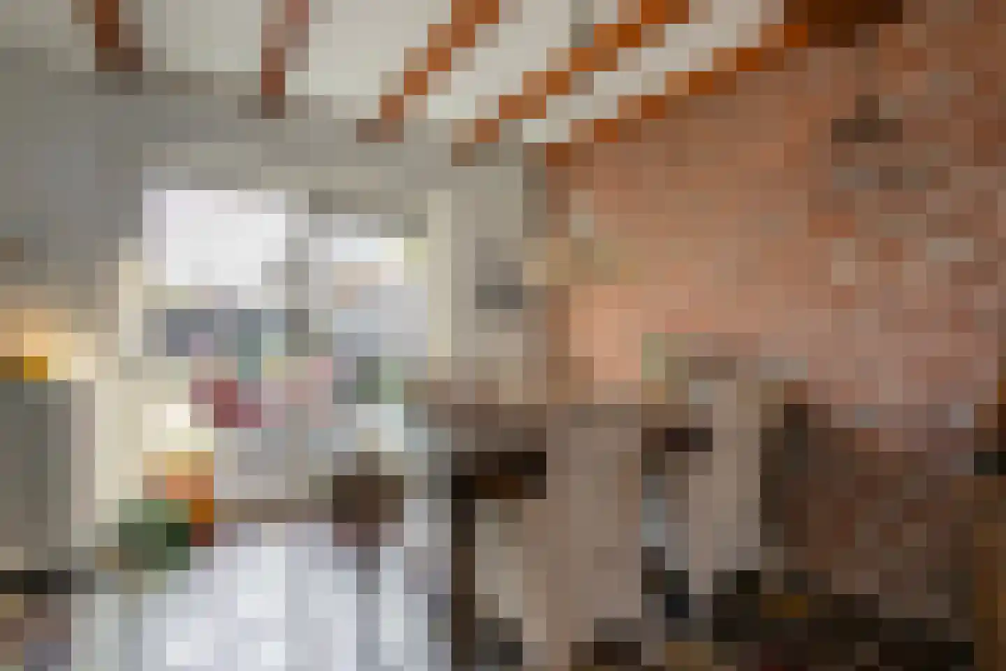 van Groningenstraat 11 Cothen thumbnail 15