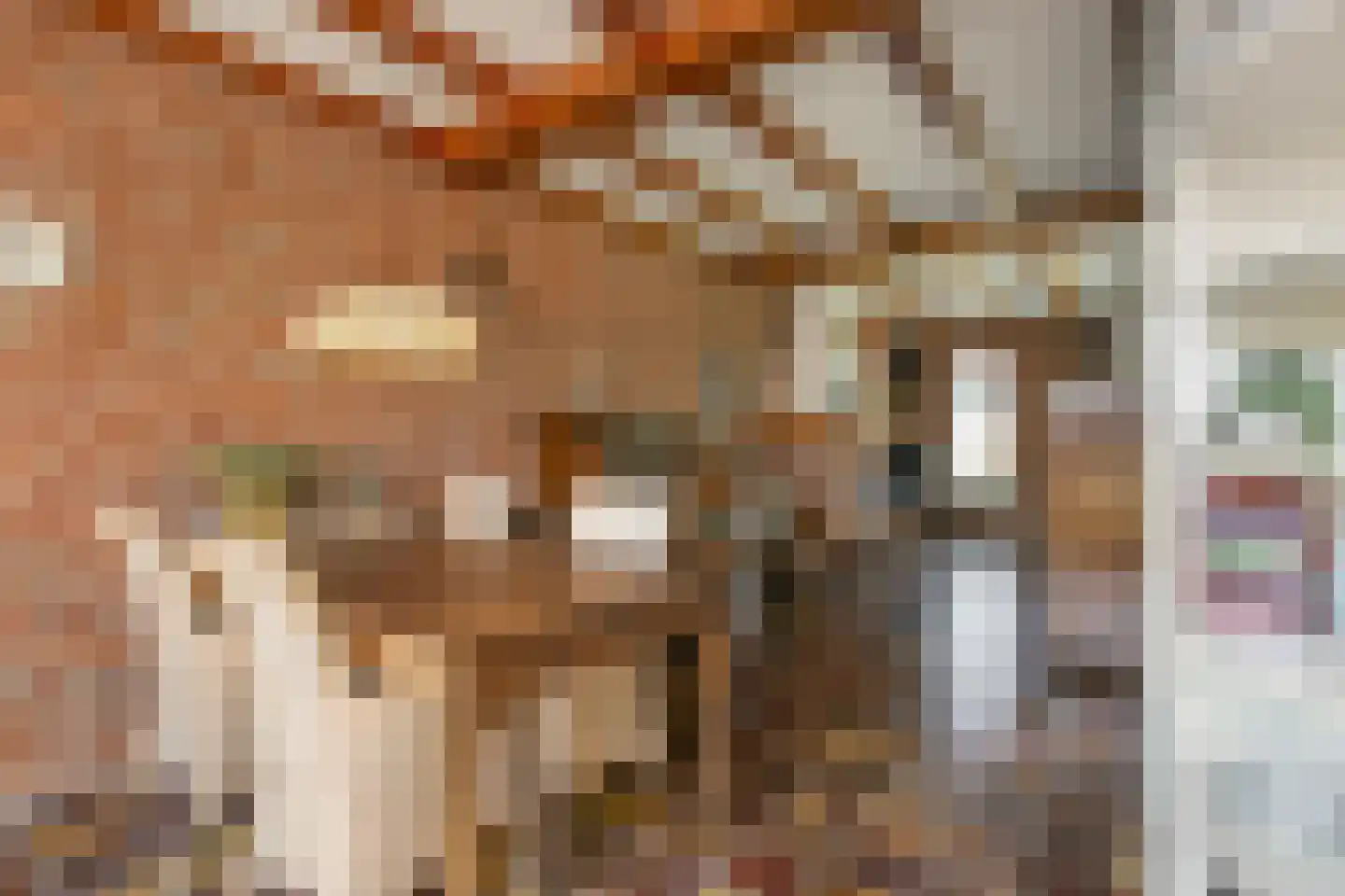 van Groningenstraat 11 Cothen thumbnail 16
