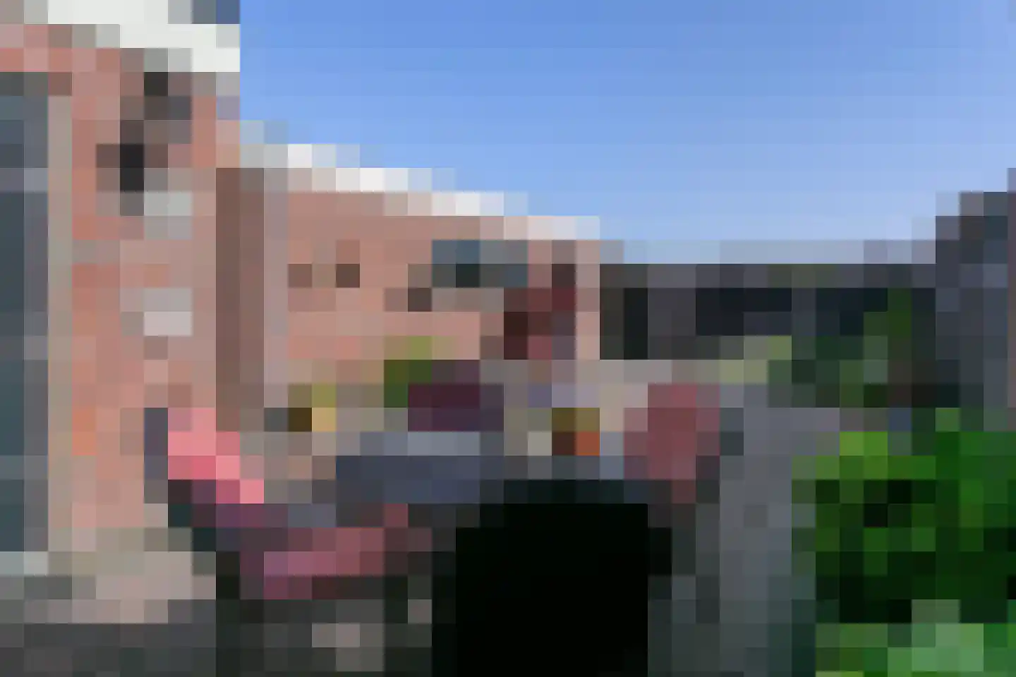 van Groningenstraat 11 Cothen thumbnail 20