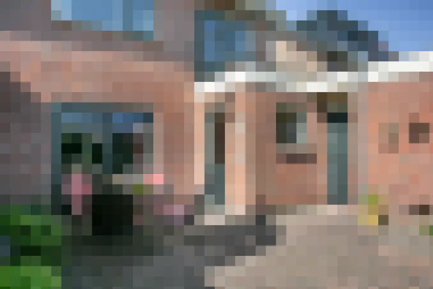 van Groningenstraat 11 Cothen thumbnail 22