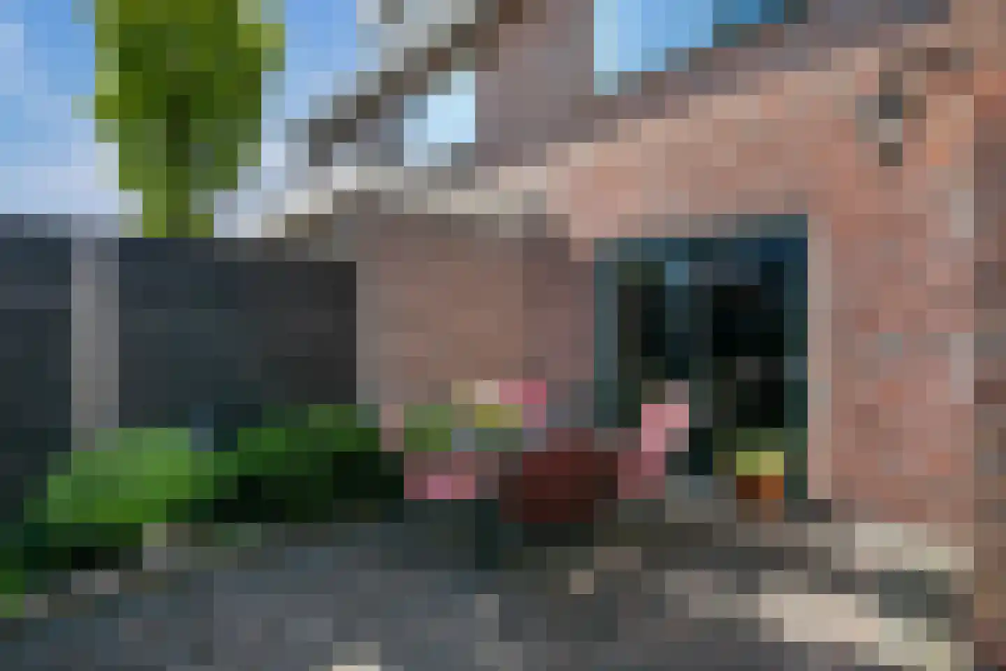 van Groningenstraat 11 Cothen thumbnail 23