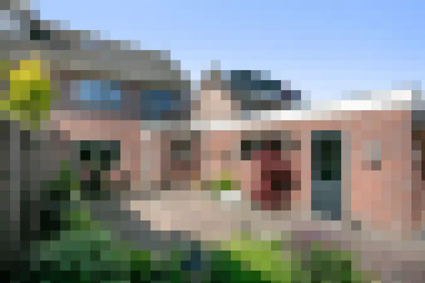 van Groningenstraat 11 Cothen thumbnail 25