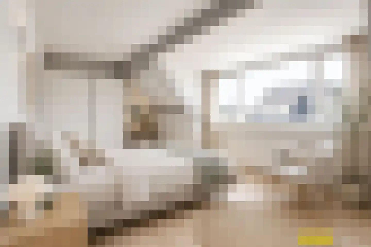 van Groningenstraat 11 Cothen thumbnail 29