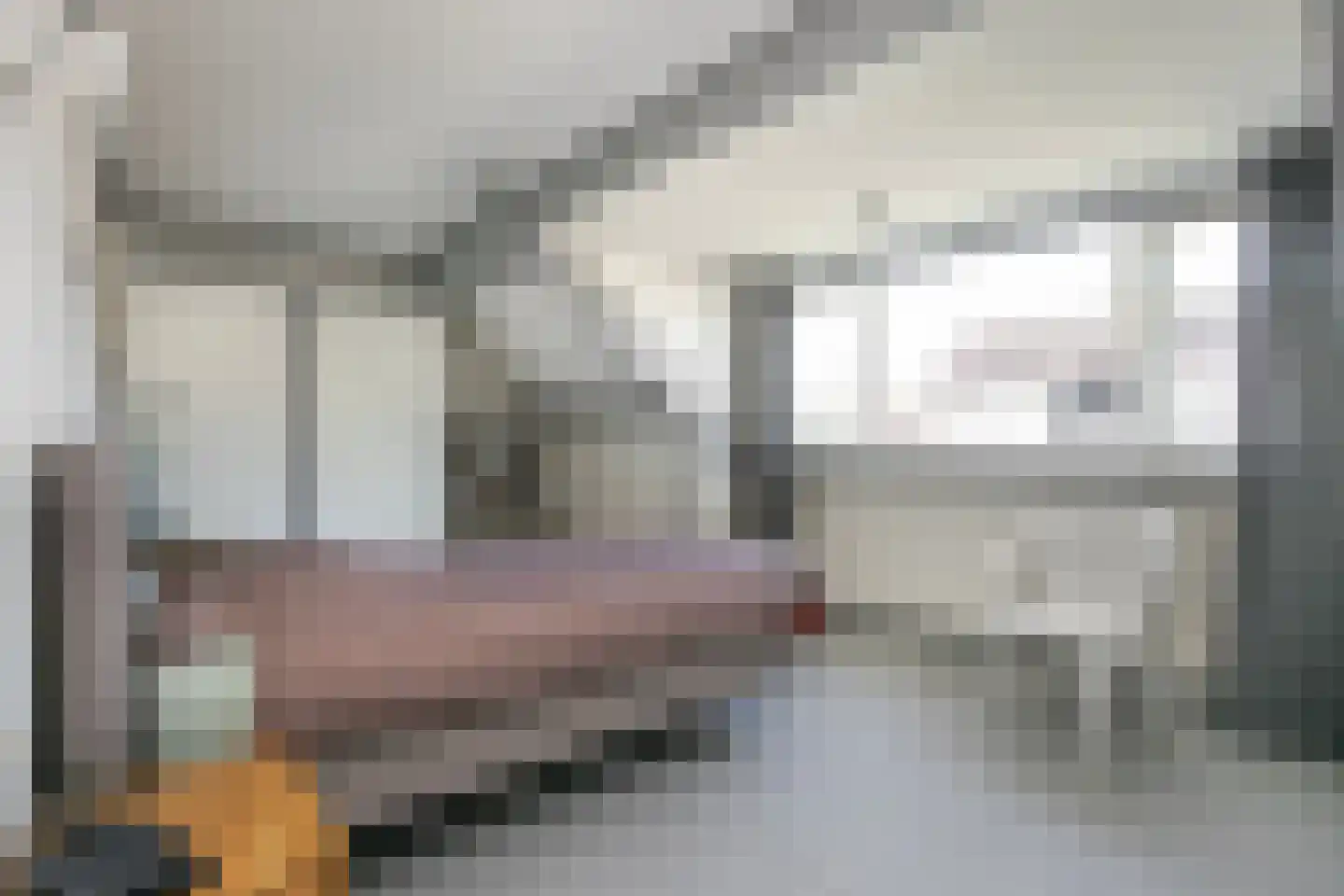 van Groningenstraat 11 Cothen thumbnail 29