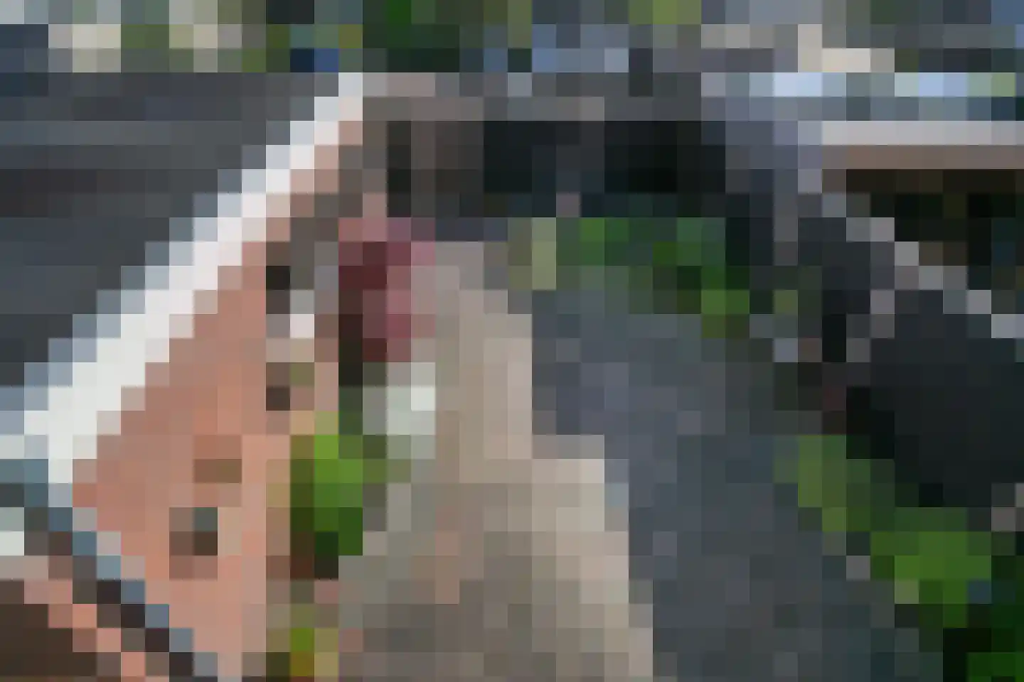 van Groningenstraat 11 Cothen thumbnail 32
