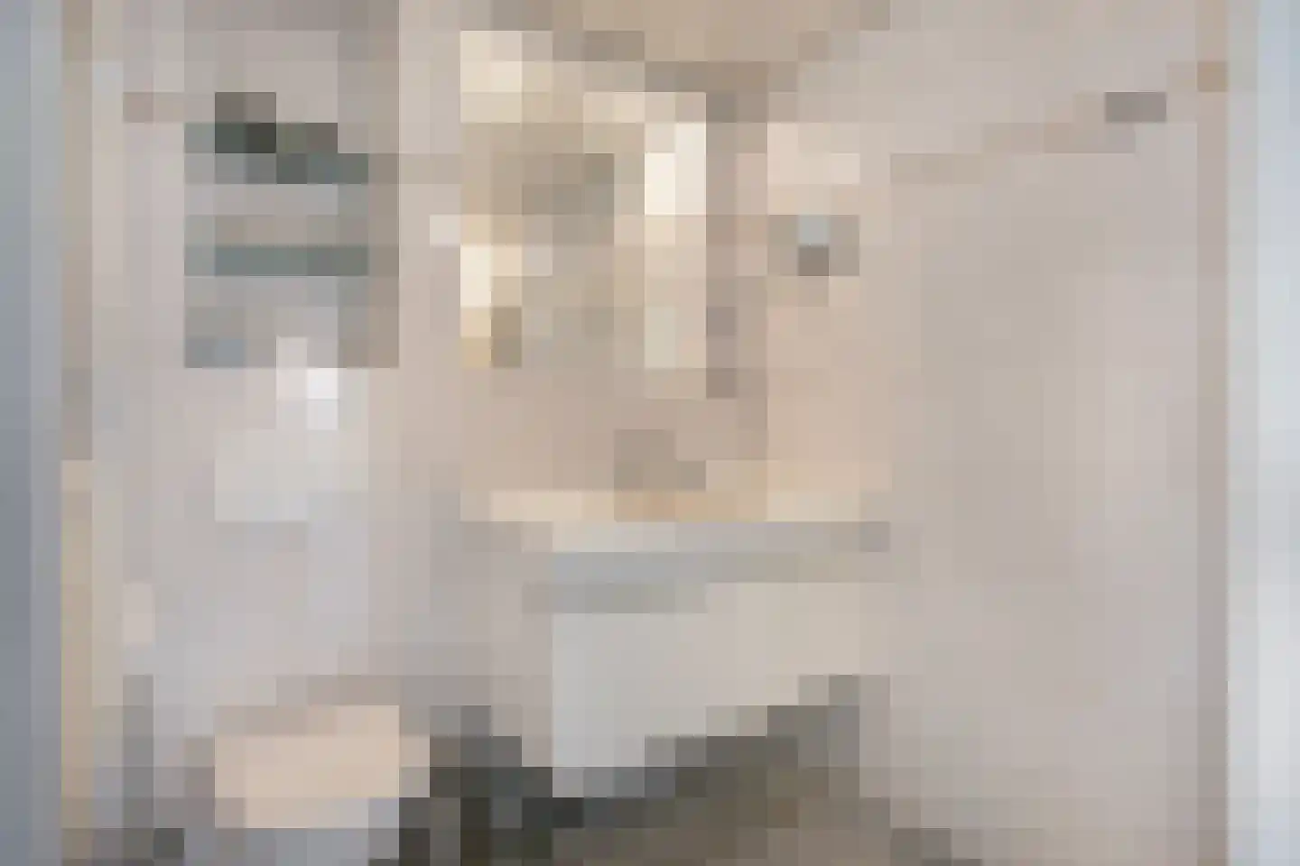 van Groningenstraat 11 Cothen thumbnail 34