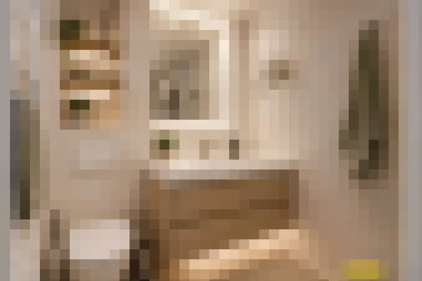 van Groningenstraat 11 Cothen thumbnail 35