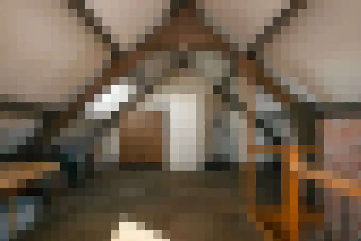 van Groningenstraat 11 Cothen thumbnail 38