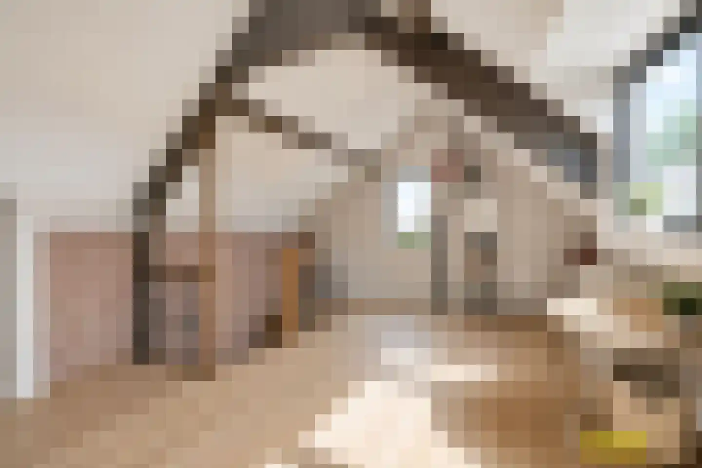 van Groningenstraat 11 Cothen thumbnail 41