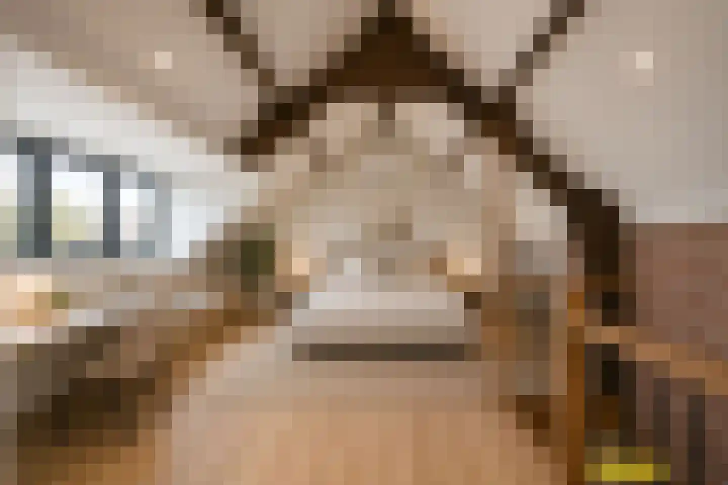 van Groningenstraat 11 Cothen thumbnail 43
