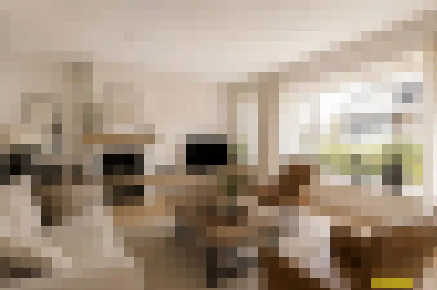 van Groningenstraat 11 Cothen thumbnail 6