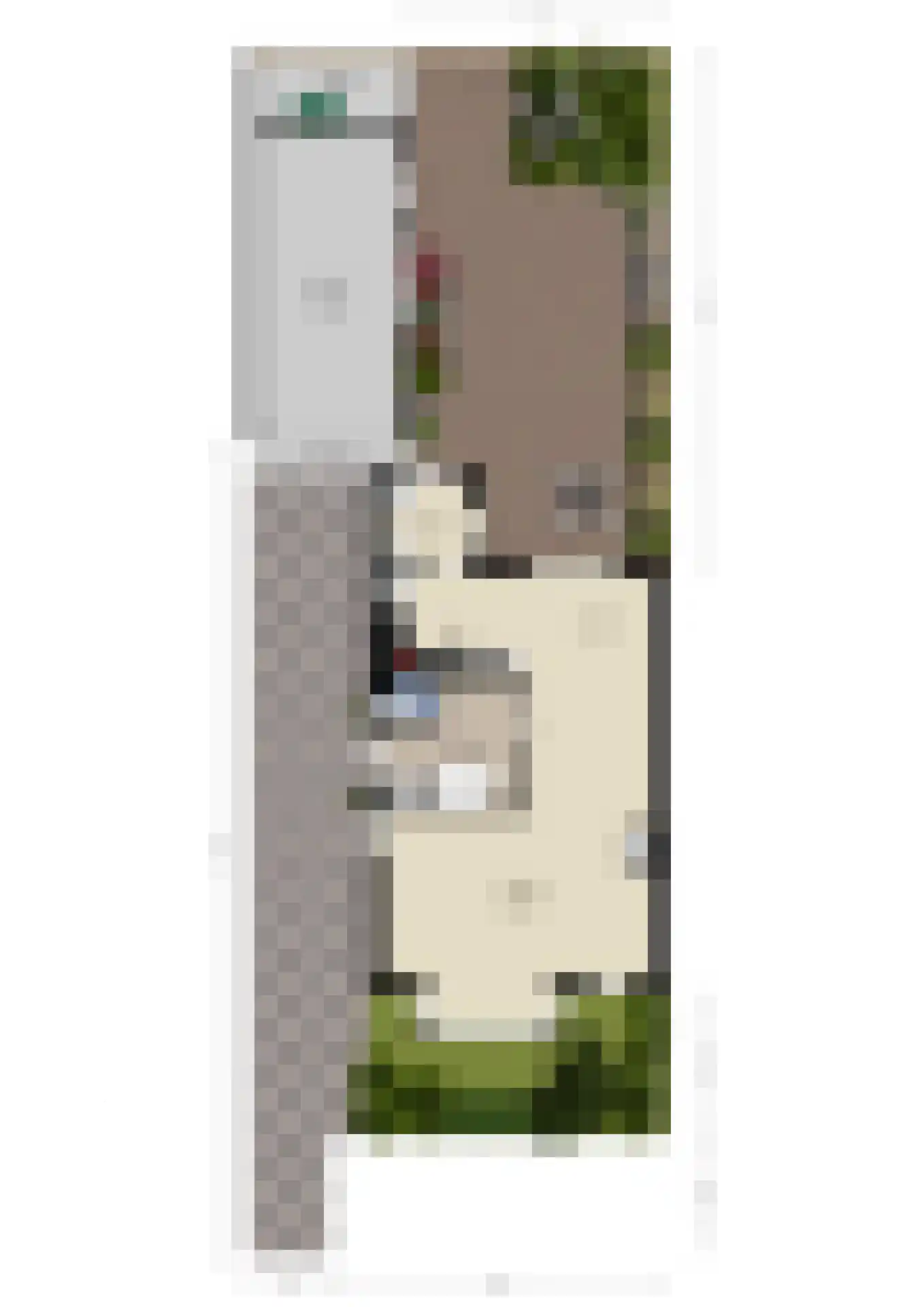 van Groningenstraat 11 Cothen thumbnail 62