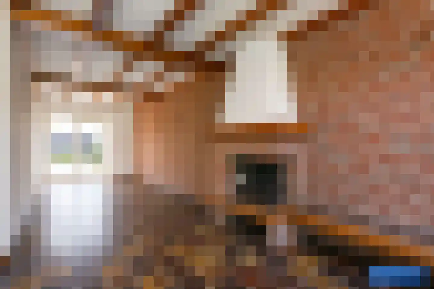 van Groningenstraat 11 Cothen thumbnail 7