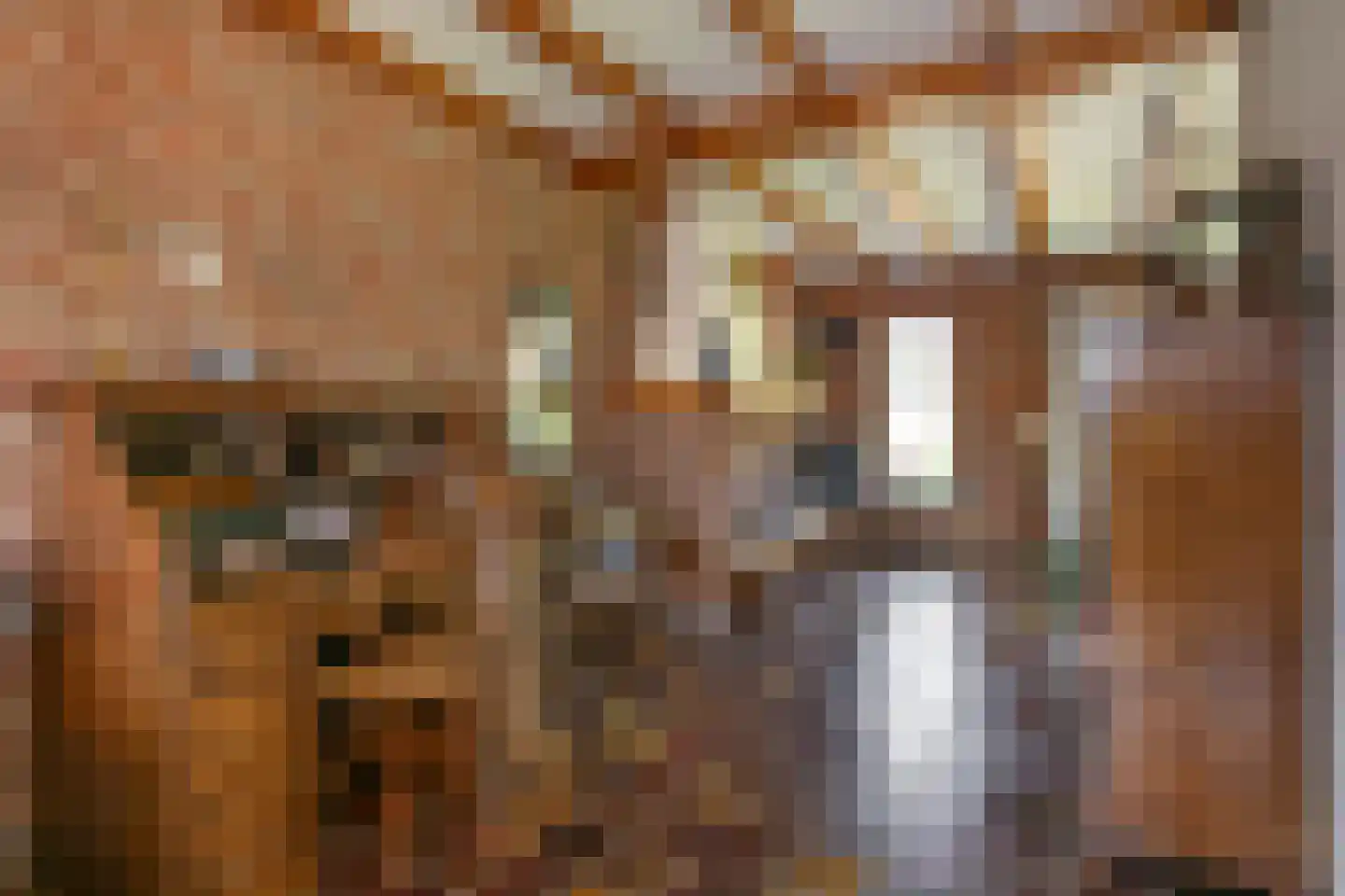 van Groningenstraat 11 Cothen thumbnail 8