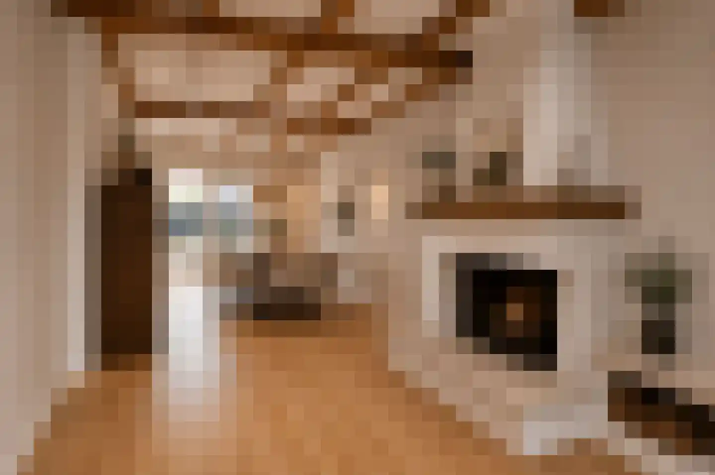 van Groningenstraat 11 Cothen thumbnail 9