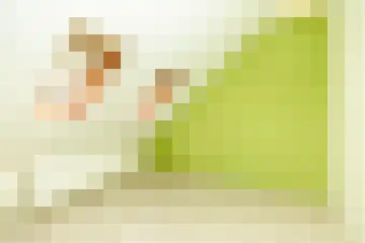 Van Groningenstraat 52 's-Gravendeel thumbnail 30