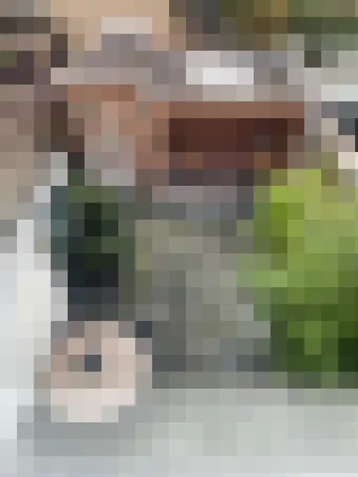 Van Groningenstraat 52 's-Gravendeel thumbnail 35