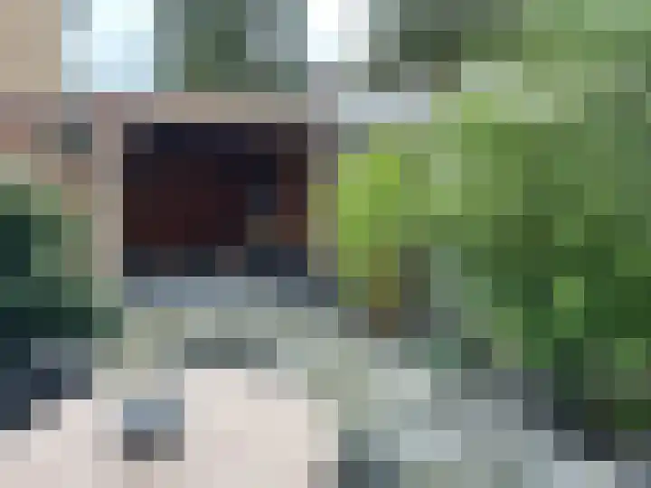 Van Groningenstraat 52 's-Gravendeel thumbnail 36