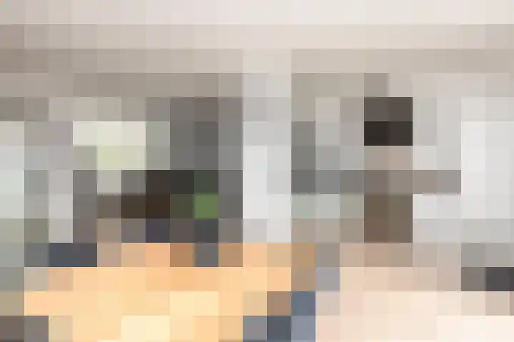 Van Groningenstraat 52 's-Gravendeel thumbnail 8
