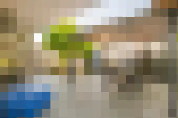 van Gronsveldstraat 10 Kerkrade thumbnail 21