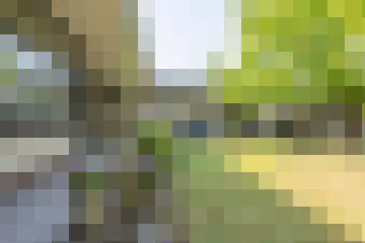 van Gronsveldstraat 10 Kerkrade thumbnail 22