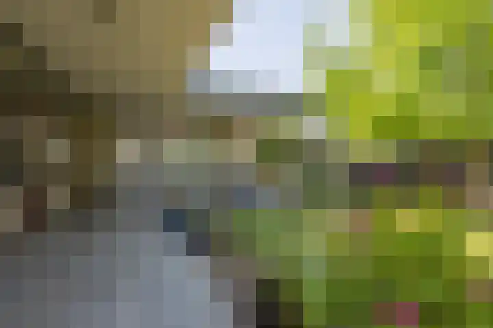 van Gronsveldstraat 10 Kerkrade thumbnail 23