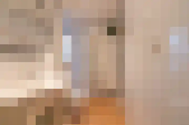van Gronsveldstraat 8 Kerkrade thumbnail 21