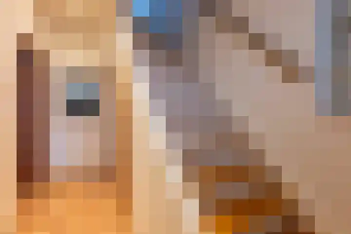 van Gronsveldstraat 8 Kerkrade thumbnail 4