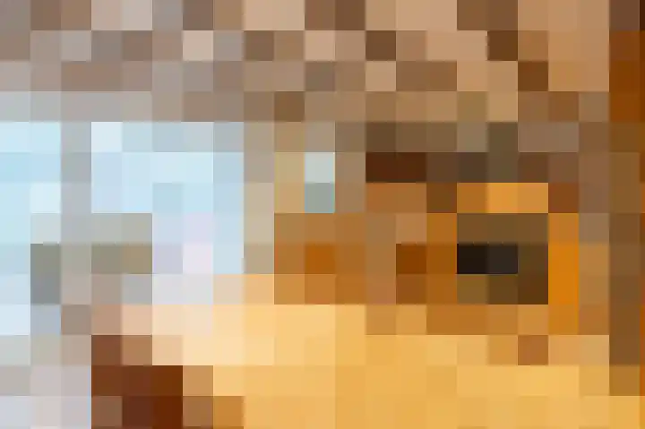 van Gronsveldstraat 8 Kerkrade thumbnail 8