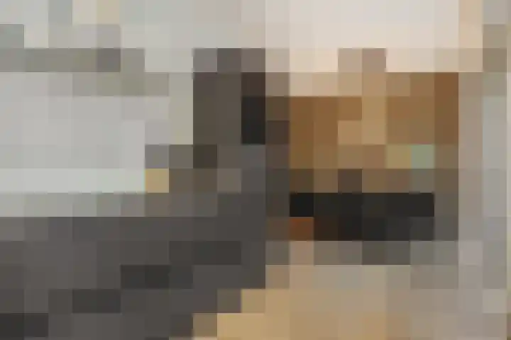 Van Grunsven-erf 16 Heesch thumbnail 11