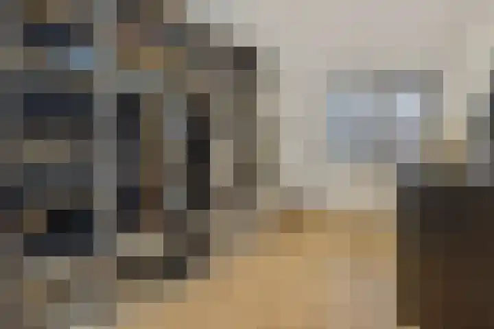 Van Grunsven-erf 16 Heesch thumbnail 22