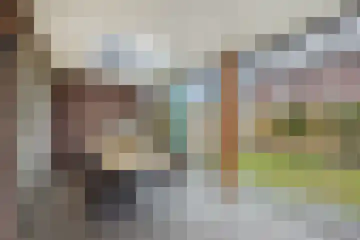 Van Grunsven-erf 16 Heesch thumbnail 34