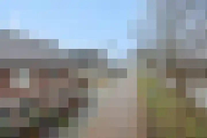 Van Grunsven-erf 16 Heesch thumbnail 42