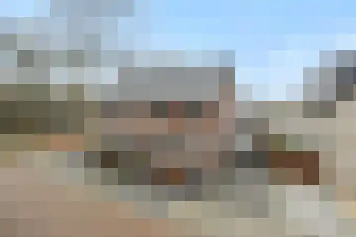 Van Grunsven-erf 16 Heesch thumbnail 43