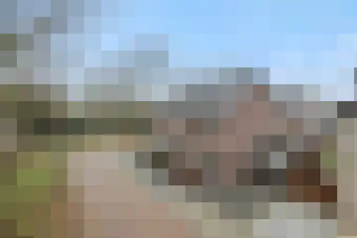 Van Grunsven-erf 16 Heesch thumbnail 44