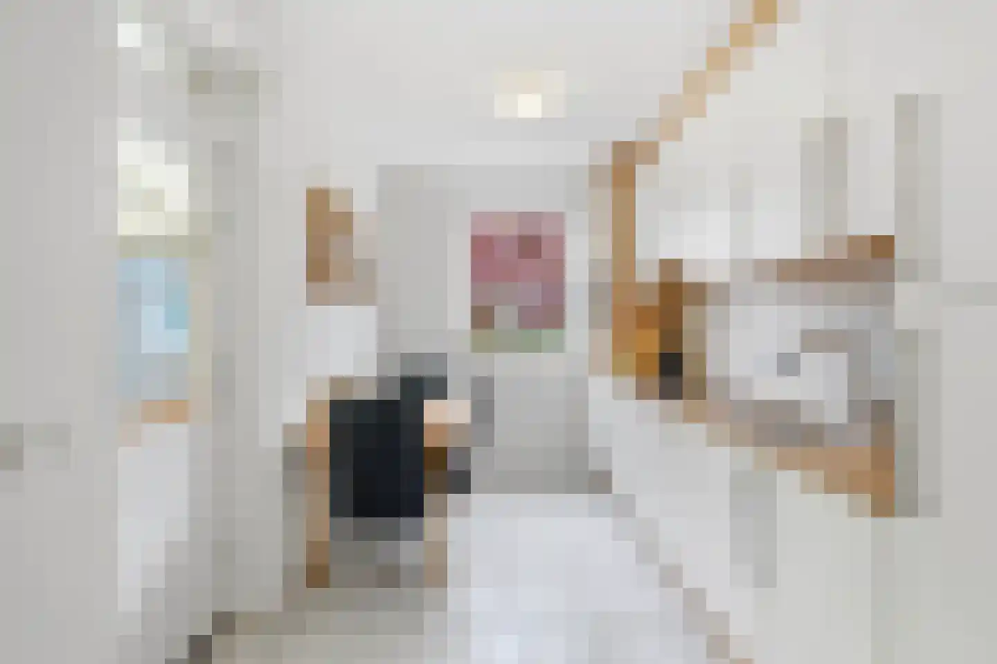 Van Haandelstraat 9 Westerbeek thumbnail 10