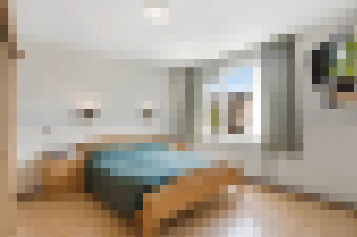 Van Haandelstraat 9 Westerbeek thumbnail 14
