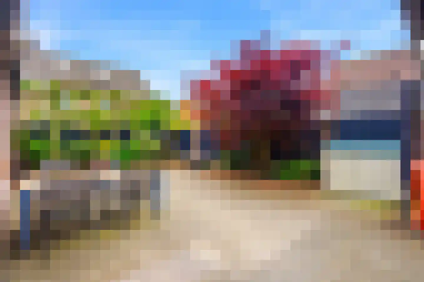 Van Haandelstraat 9 Westerbeek thumbnail 31
