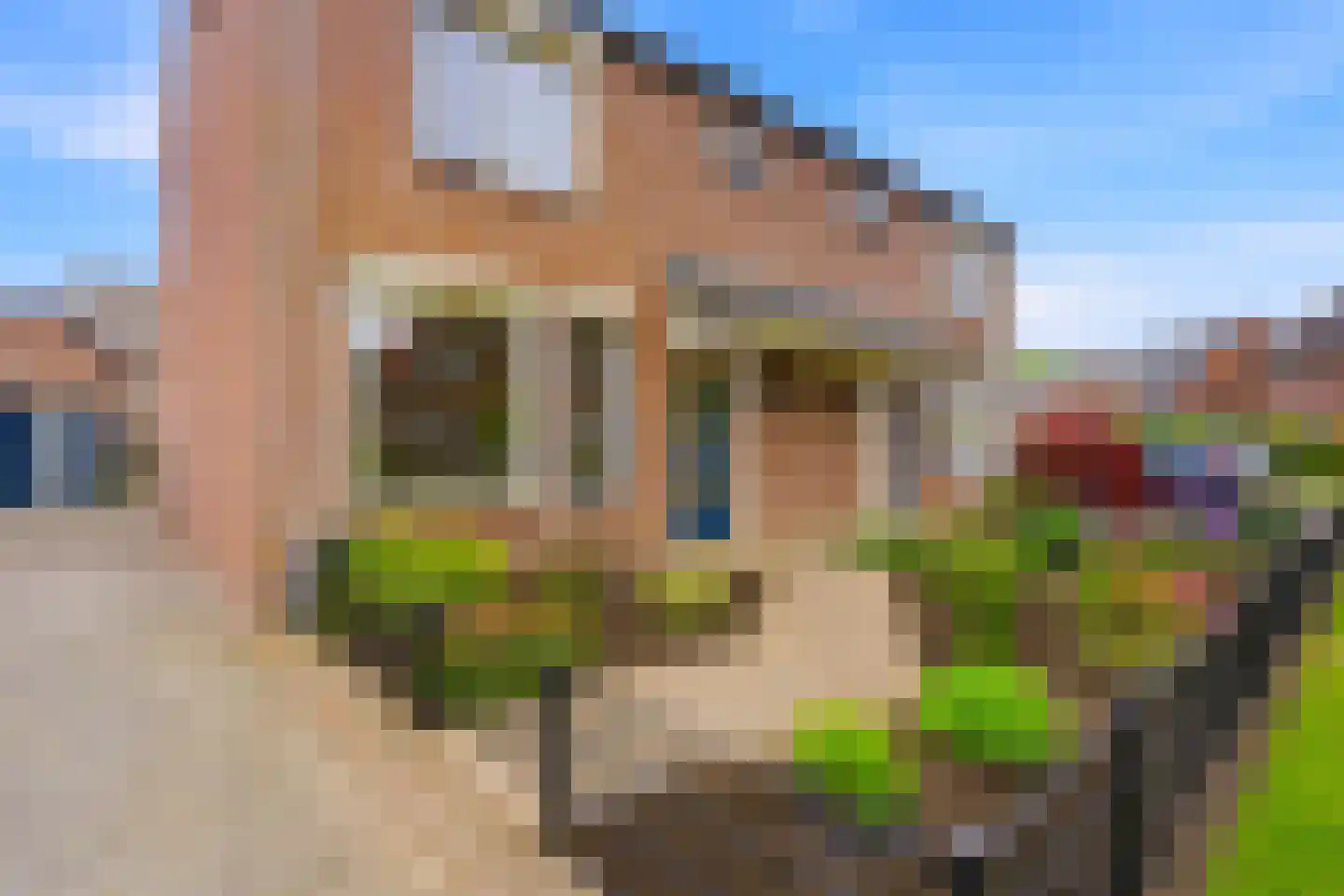 Van Haandelstraat 9 Westerbeek thumbnail 36