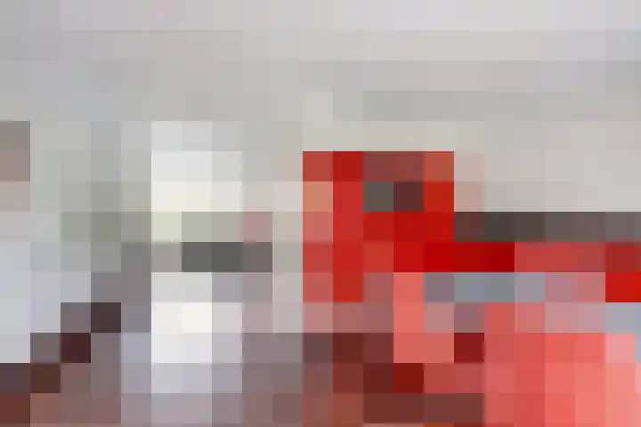 Van Haapsstraat 6 Nijmegen thumbnail 11