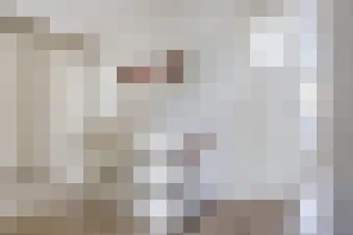 Van Haapsstraat 6 Nijmegen thumbnail 15