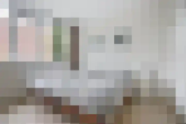 Van Haapsstraat 6 Nijmegen thumbnail 19