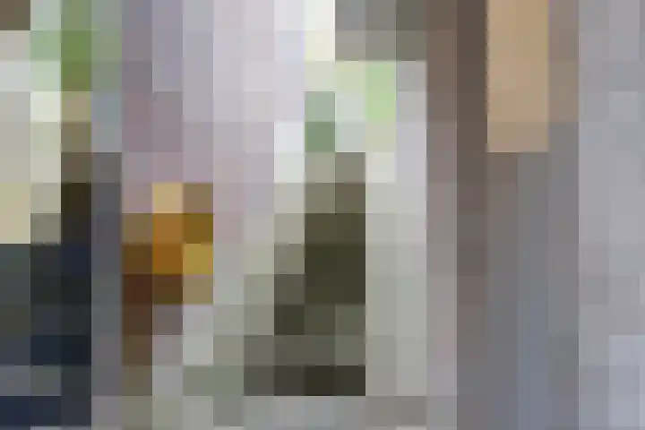 Van Haapsstraat 6 Nijmegen thumbnail 35