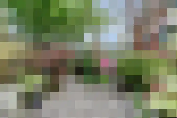 Van Haapsstraat 6 Nijmegen thumbnail 37