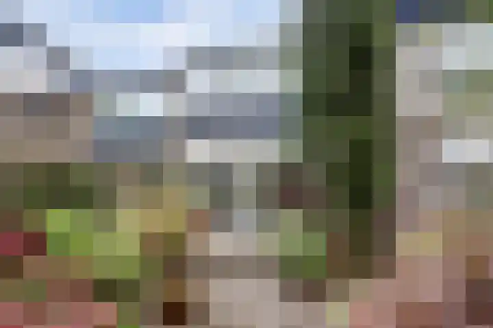 Van Haapsstraat 6 Nijmegen thumbnail 40