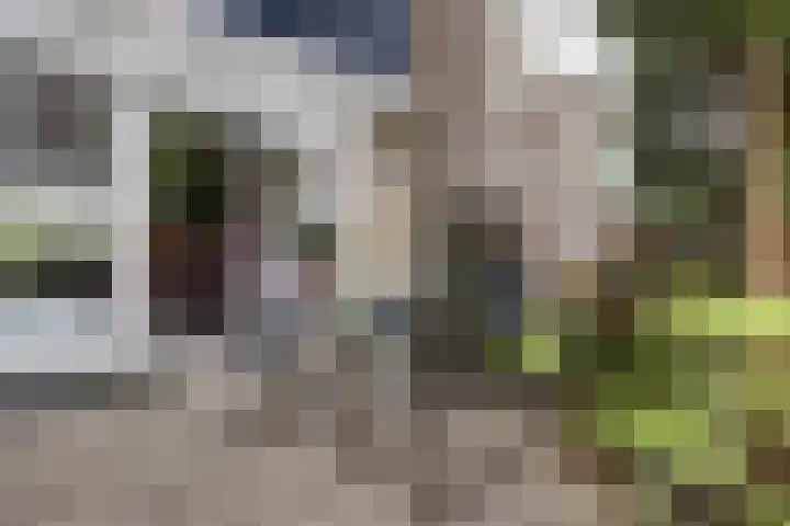 Van Haapsstraat 6 Nijmegen thumbnail 41