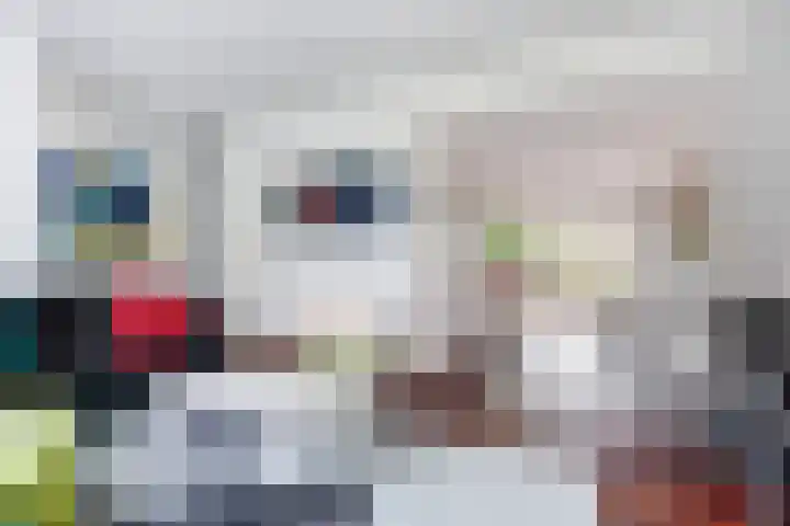 Van Haapsstraat 6 Nijmegen thumbnail 7